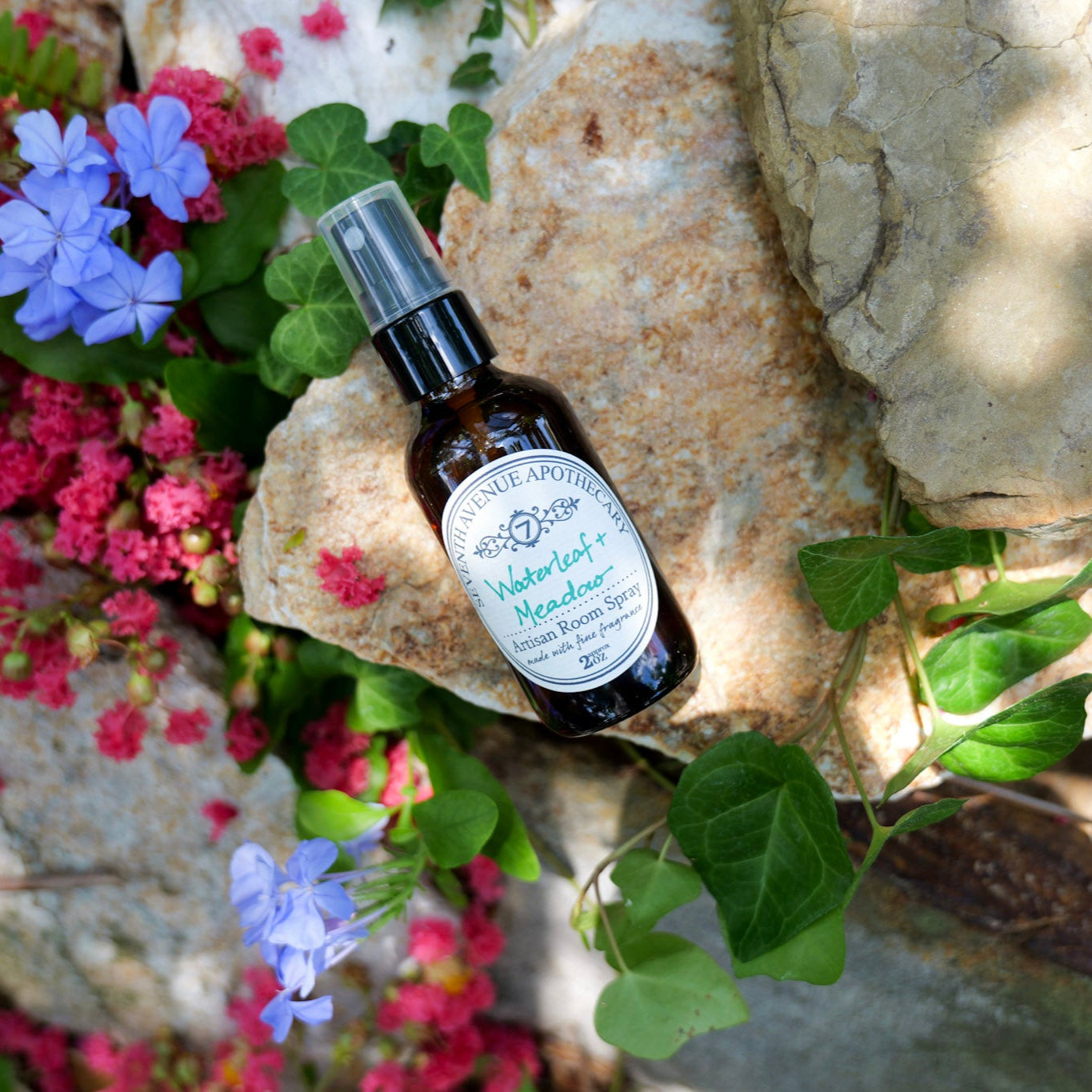 Waterleaf + Meadow