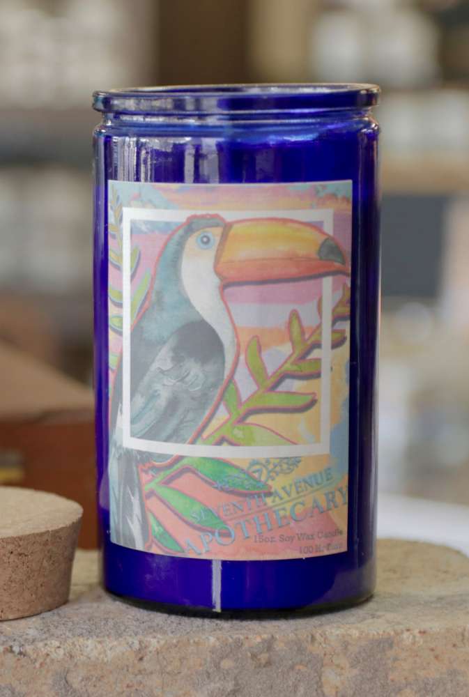 Toucan in the Sun - Tall Glass (Cobalt)