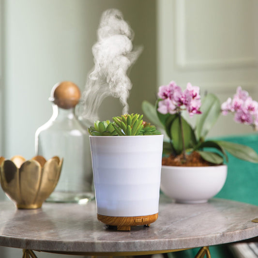 Best Aroma Oils For Your Home