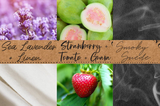 3 New Scents: Sea Lavender + Linen, Strawberry + Tomato + Guava, and Smoky Suede