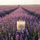 Lavender + Black Pepper