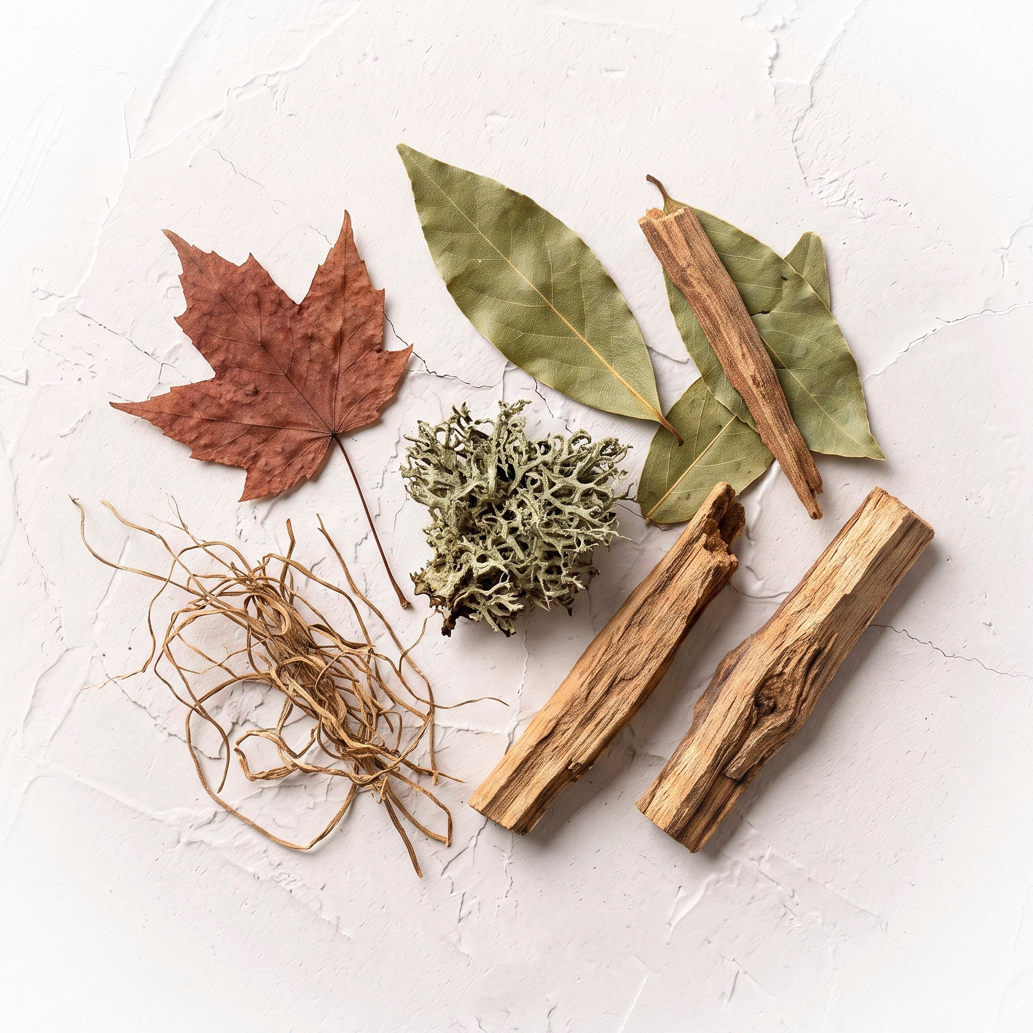 Earthy Fragrances