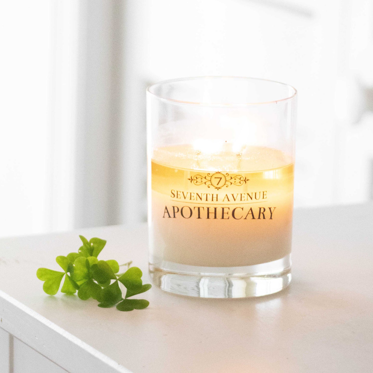 Green Clover + Aloe - Signature Glass Candle