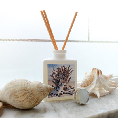 Sea Salt + Sandalwood - Reed Diffuser
